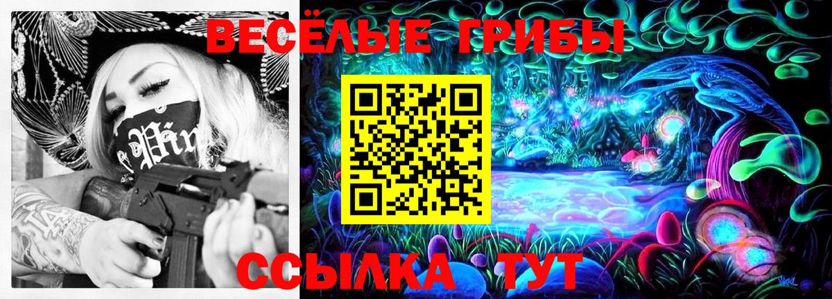 Псилоцибиновые грибы прущие грибы  Вход с VPN  Прохладный  Псилоцибиновые грибы Magic Shrooms 