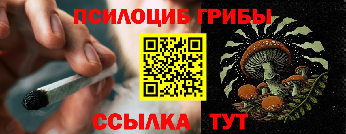 Псилоцибиновые грибы мухоморы Прохладный